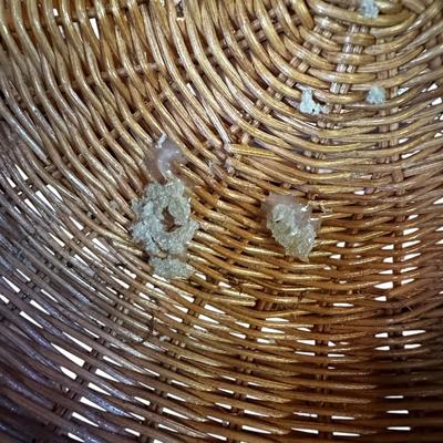 Lot of 4 Baskets, 1 is a Fish, one with Wood Bottom