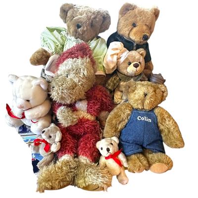 A Bunch o' Bears, Stuffed and Loved