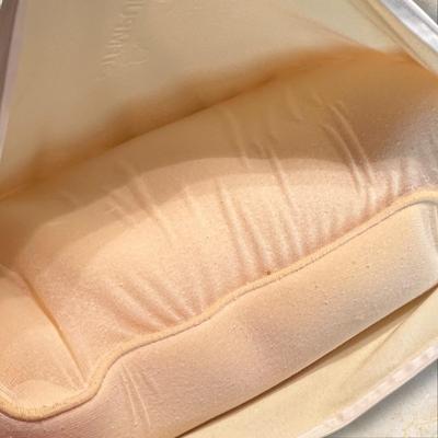 Tempur-pedic Pillow, Queen, with ZIppered Pillow Cover