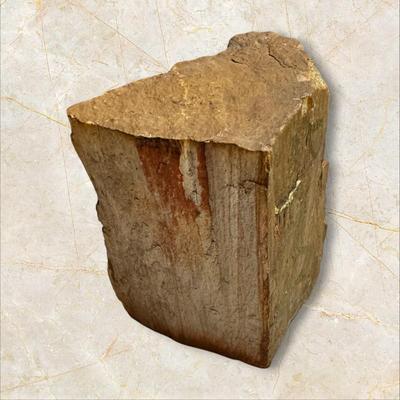 Petrified Wood with Gemstone Cross 4" Tall