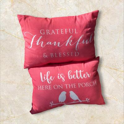 2 Throw Pillows