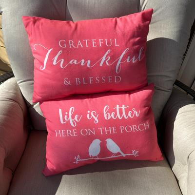 2 Throw Pillows