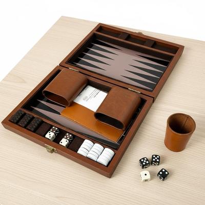 Travel Backgammon Game in a Case