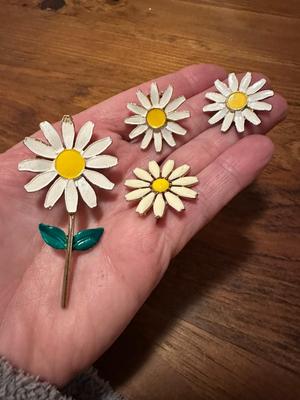 Variety of Jewelry Lot with Daisies and Dragonfly / Monet, Sarah Cov