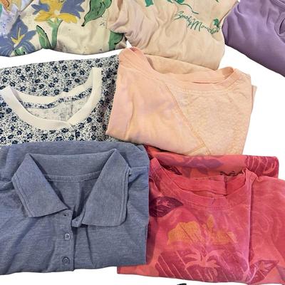 Big Lot of Womens Knit Short Sleeve Shirts (23) + 4 Shorts