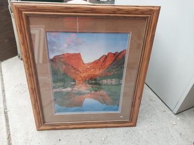 FRAMED NATURE ARTWORK