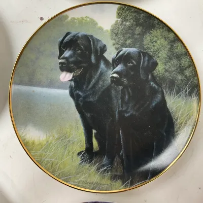 677 Canine Collector Plate Set – 7 Decorative Dog Plates by Neiman Marcus & Franklin Mint