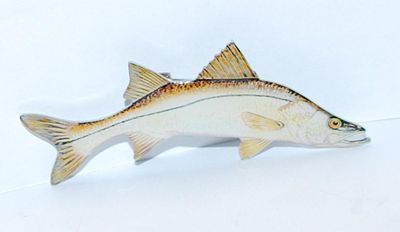 Salt Water FISH BROOCH (2½" x ½") on Thin Metal and Silver Tone Setting