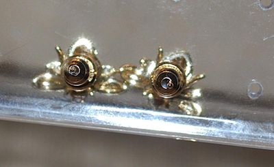 Small All Gold Colored Earrings Set (¼") with a Stud Style Clasp