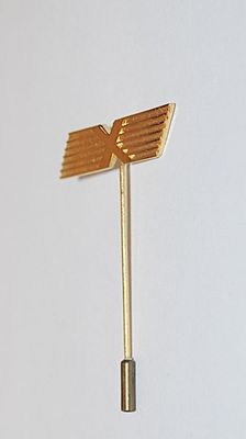 "X" Banner Gold Tone PIN (1¾" x 1") with Needle Point Protector