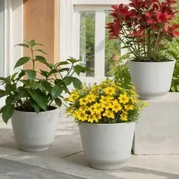 Trio of modern white ceramic planters containing a variety of green, yellow, and red foliage plants.