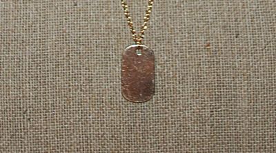 Gold Tone Shiny Oval TAG NECKLACE with Thin Gold Colored Necklace Chain and Lobster Clasp 22" L