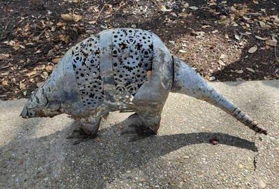 Metal armadillo