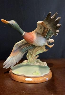 G armani duck in flight