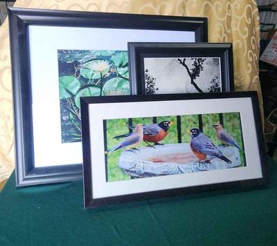 Framed photography 3