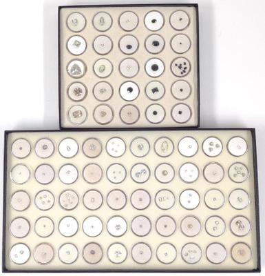 Clear Tone Loose Gemstones (2 Full boxes)