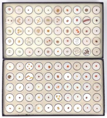 Orange Tone Loose Gemstones (2 Full boxes)
