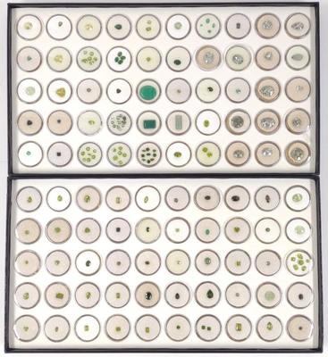 Green Tone Loose Gemstones (2 Full boxes)