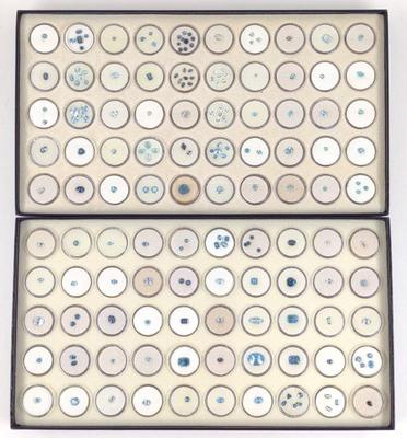 Blue Tone Loose Gemstones (2 Full boxes)