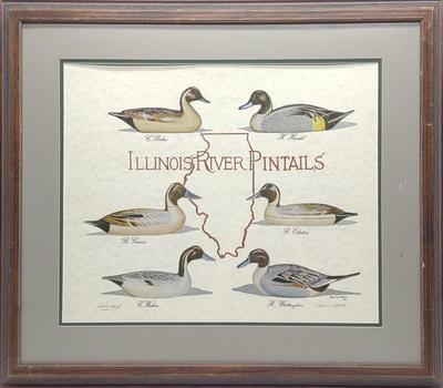 P. Shertz Signed AP Illinois River Decoy Art Print