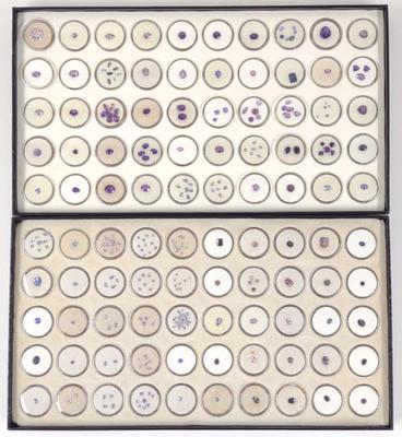 Purple Tone Loose Gemstones (2 Full boxes)