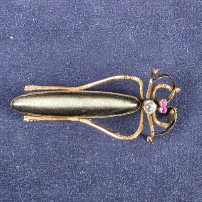 bug brooch