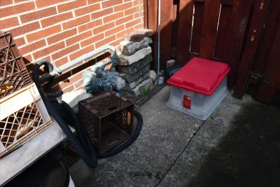 1355 back yard