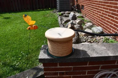 1345 back yard