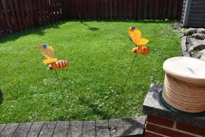 1346 back yard
