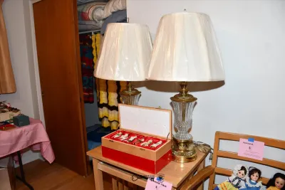 0016 some highlights naperville estate sale