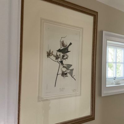 1029 Framed John James Audubon “Tyrant Flycatcher” Bird Print