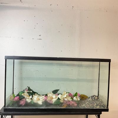 1027 Large 60-Gallon Glass Aquarium Fish Tank
