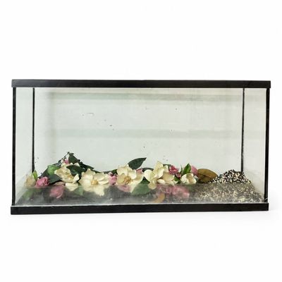 1027 Large 60-Gallon Glass Aquarium Fish Tank