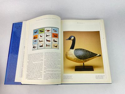 1023 The Great Book of Wildfowl Decoys