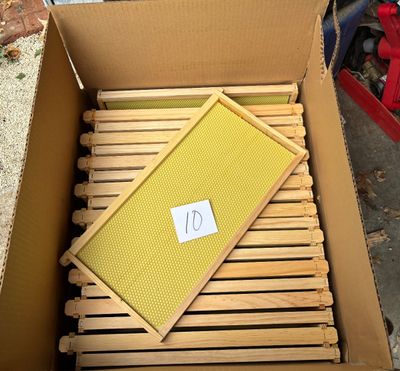 9 1/8" Natural Assembled Frames with Waxed Rite-Cell® Foundation, case of 20