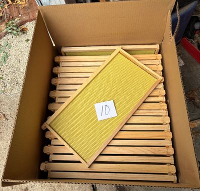 9 1/8" Natural Assembled Frames with Waxed Rite-Cell® Foundation, case of 20