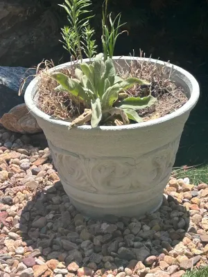 G planting pots
