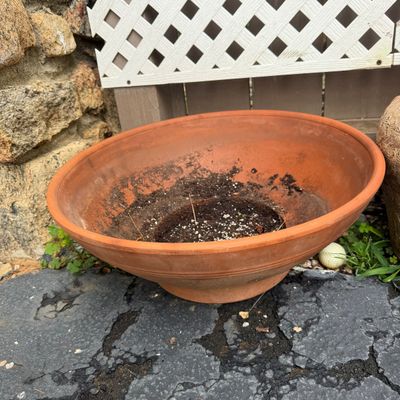 Thai Elephant Plant Pot & Various Terracotta Pots (DG-BM)