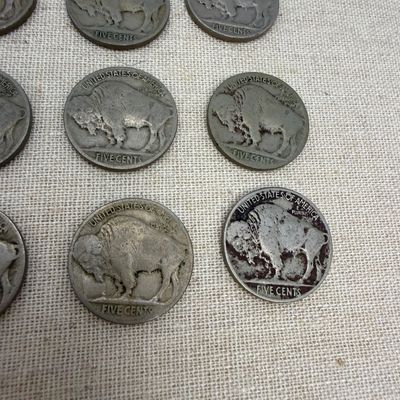Buffalo Nickels (ST-BM)