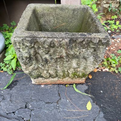 Two Large Planters and More (DG-BM)
