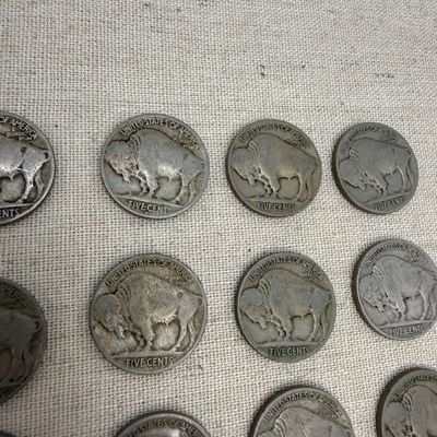Buffalo Nickels (ST-BM)