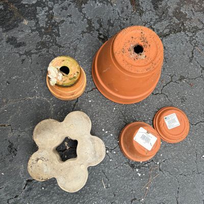 Thai Elephant Plant Pot & Various Terracotta Pots (DG-BM)