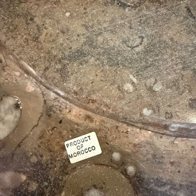 Ammonite Fossil Plate and Orthoceras Fossil (D-BM)
