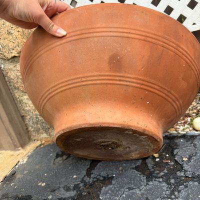 Thai Elephant Plant Pot & Various Terracotta Pots (DG-BM)