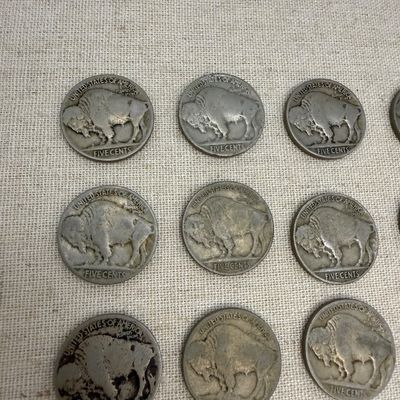 Buffalo Nickels (ST-BM)