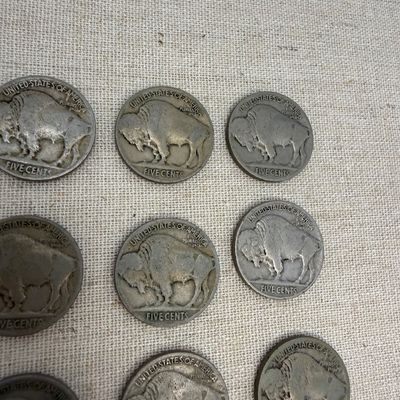 Buffalo Nickels (ST-BM)