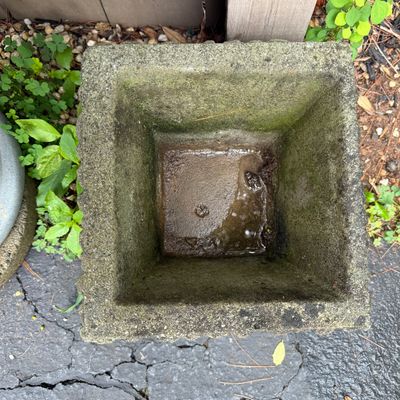 Two Large Planters and More (DG-BM)