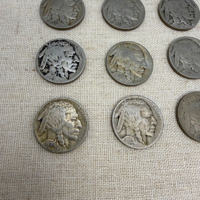 Buffalo Nickels (ST-BM)