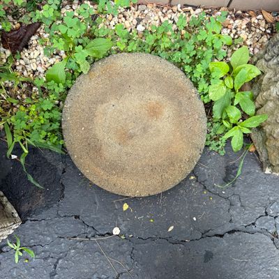 Two Large Planters and More (DG-BM)
