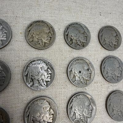 Buffalo Nickels (ST-BM)
